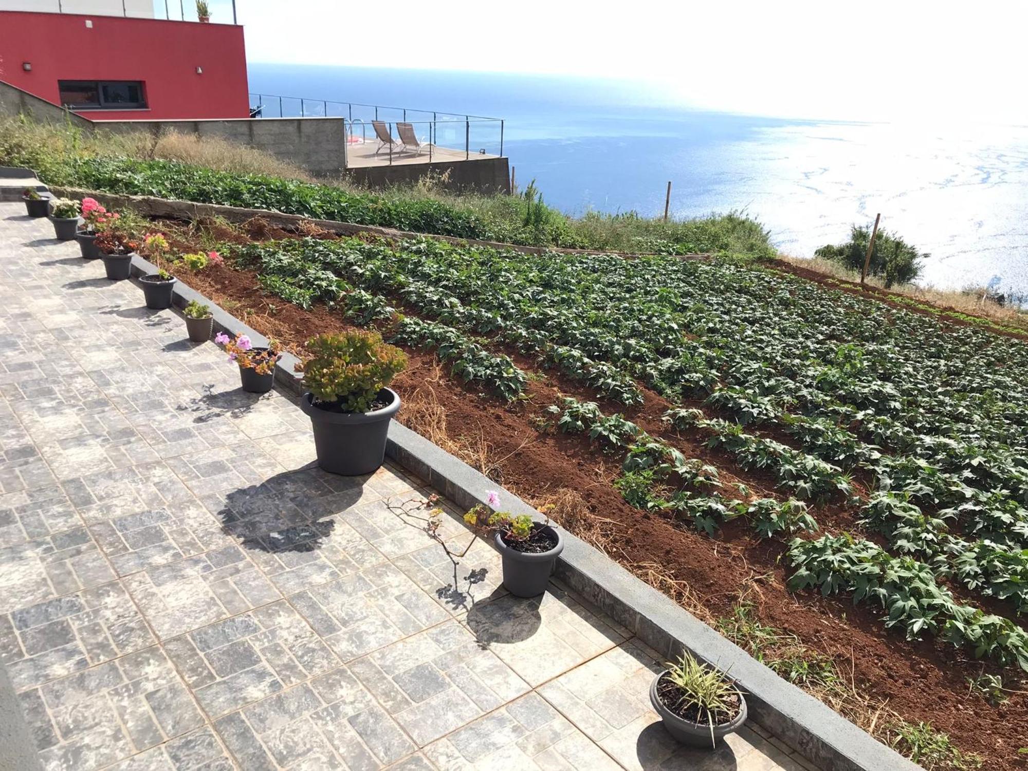 Palheirinho Da Achada Villa Arco da Calheta  Dış mekan fotoğraf